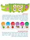 لعبة تمساحي للتعليم المبكر extra image $1