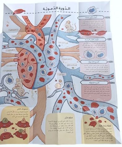 أطلس جسم الإنسان extra image $2