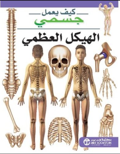[6281072101817] كيف يعمل جسمي الهيكل العظمي