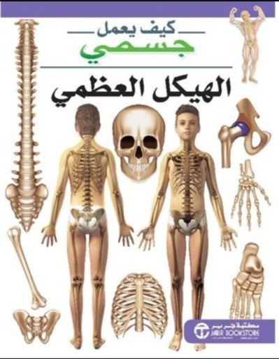 [6281072101817] كيف يعمل جسمي الهيكل العظمي