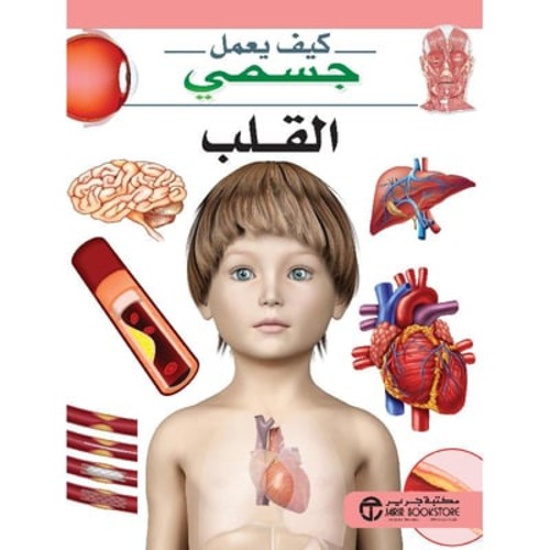 [6281072101923] كيف يعمل جسمي القلب